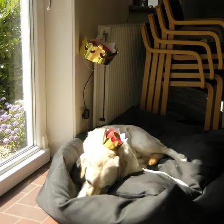 Henne Ferie Penzion 2*